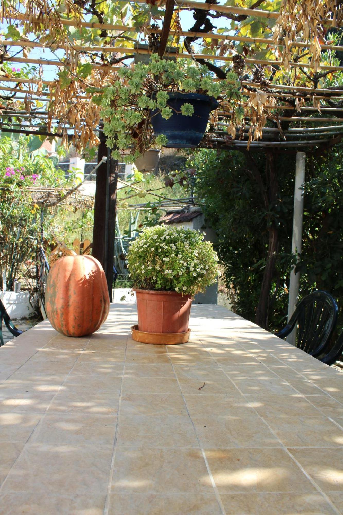 Apartamento Marina 1990 Agios Georgios Pagon Exterior foto